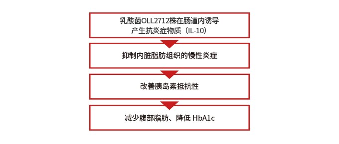 乳酸菌OLL2712株的作用与机制