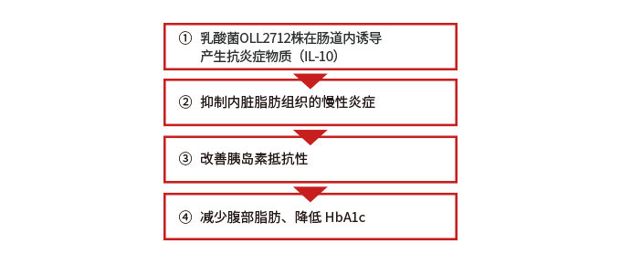 MI-2乳酸菌的作用与机制