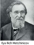 Ilya Ilich Metchinicov