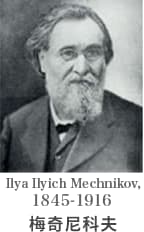 メチニコフ