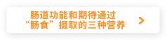 肠道的机能和通过肠食摄取的三种营养