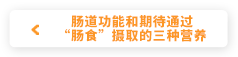 肠道的机能和通过肠食摄取的三种营养